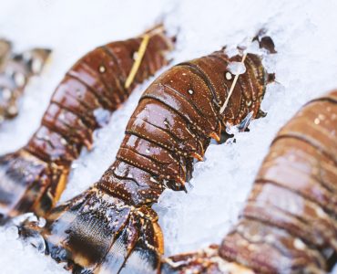 Seafood (2) Seafood (2)